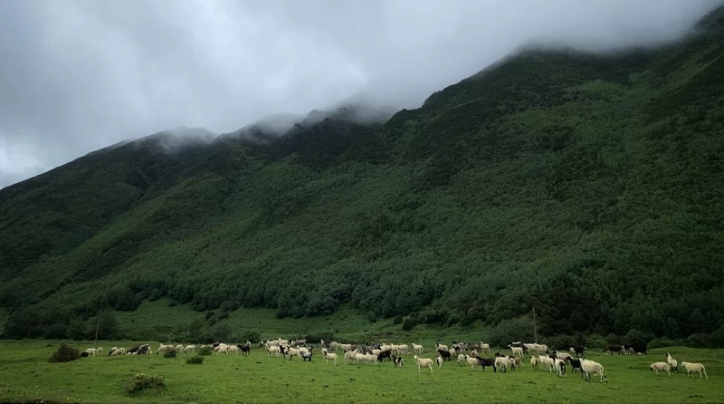 如何選擇適合自己的研學(xué)旅行及選擇研學(xué)機構(gòu)的標準是什么？