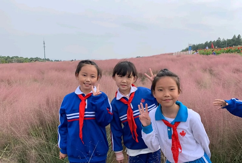 角逐研學旅行，策劃如何解決市場痛點