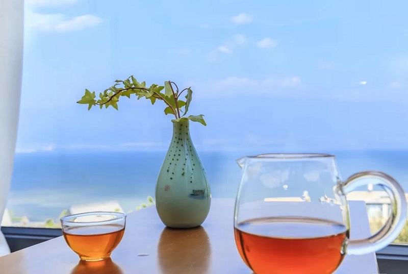 夏令營的起源是什么？