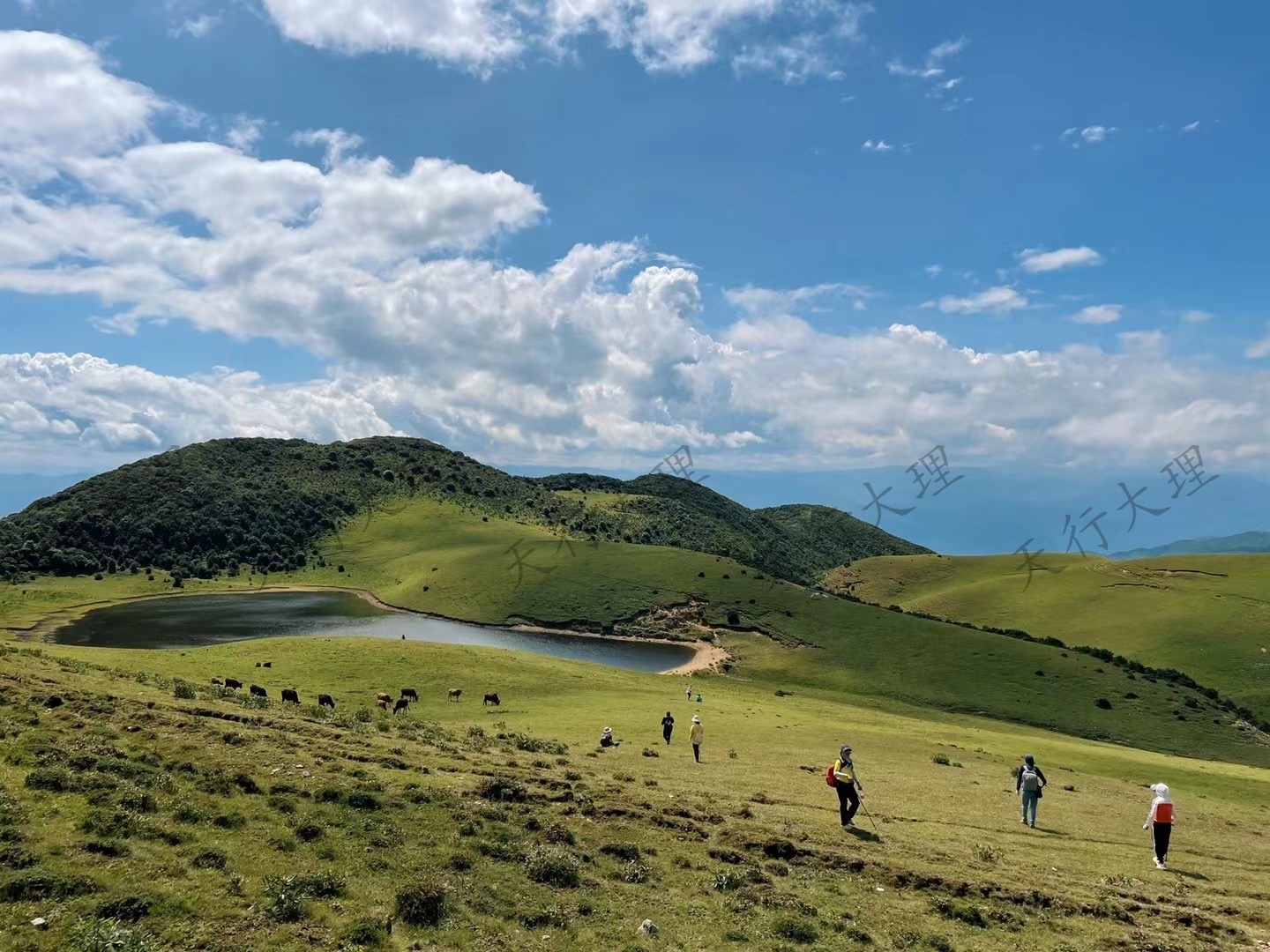 大理洱源鳥(niǎo)吊山徒步露營(yíng)