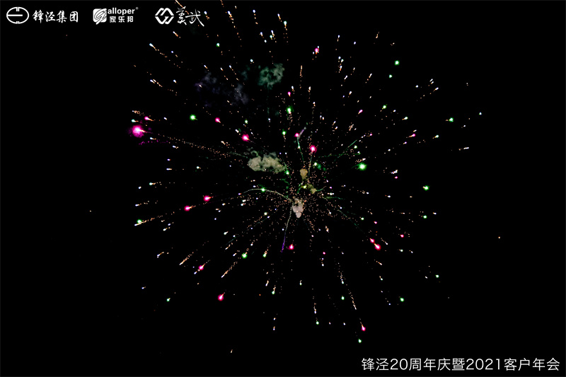 上海鋒涇集團(tuán)20周年慶暨2021年客戶年會團(tuán)建活動篝火晚會