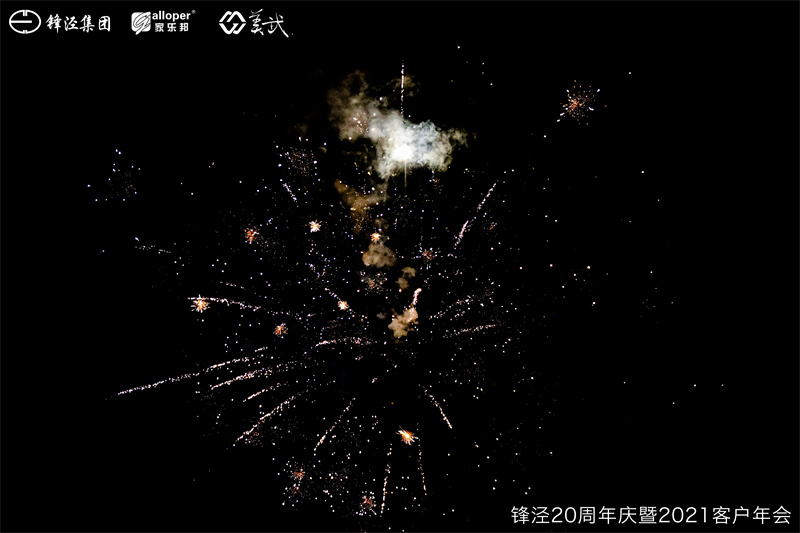 上海鋒涇集團(tuán)20周年慶暨2021年客戶年會團(tuán)建活動篝火晚會