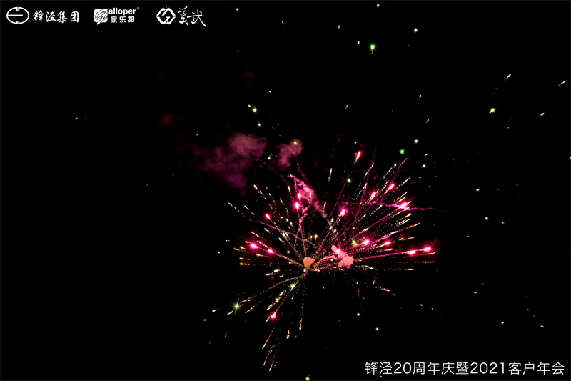 上海鋒涇集團(tuán)20周年慶暨2021年客戶年會團(tuán)建活動篝火晚會