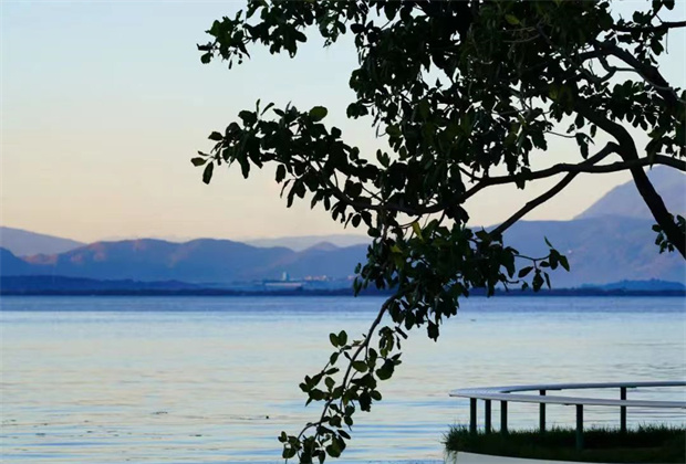 大理策劃公司:海舌，洱海邊的“寶藏公園”